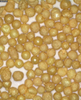 Q1-high grade monoclinic zirconia