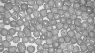 Bubble Monoclinic Zirconia | Saint-Gobain
