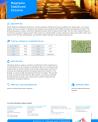 Magnesia Stabilized Zirconia - SGCM -TDS.pdf